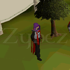 cookingcape.gif