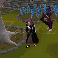 thievingcape.gif
